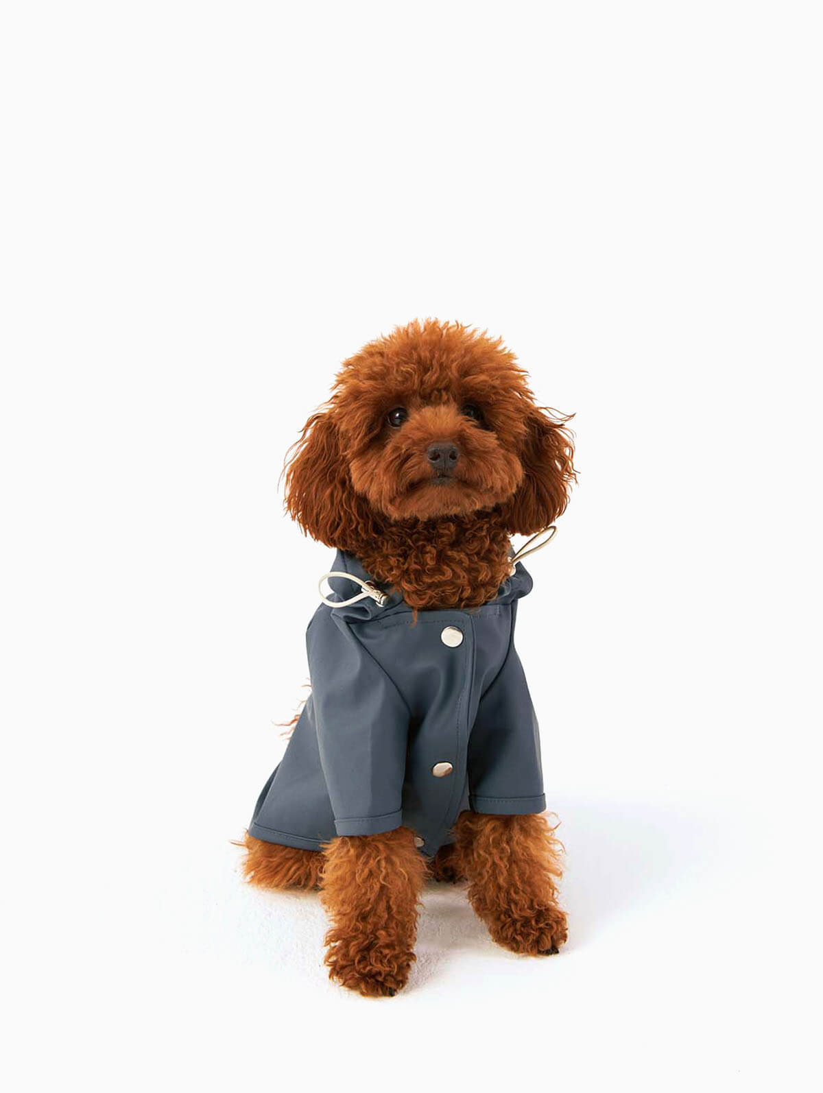 Bruno Society Dog Raincoat