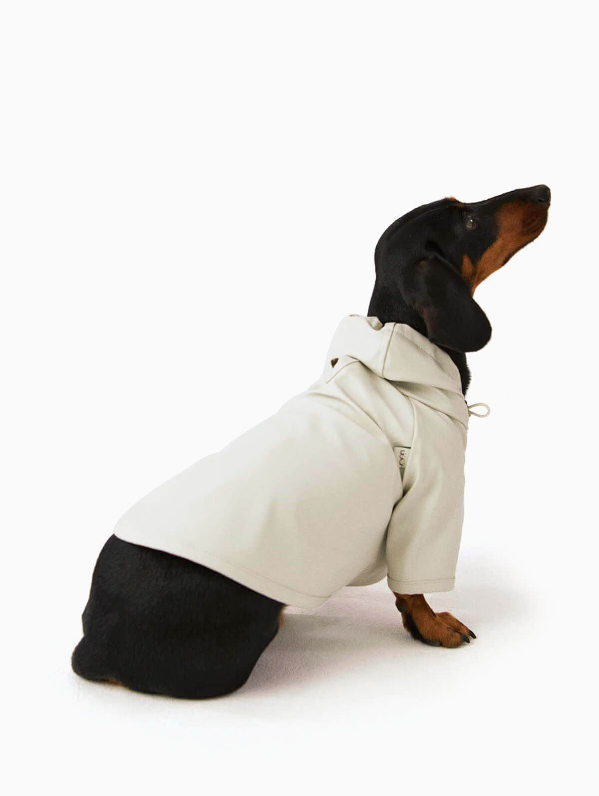 Bruno Society Dog Raincoat