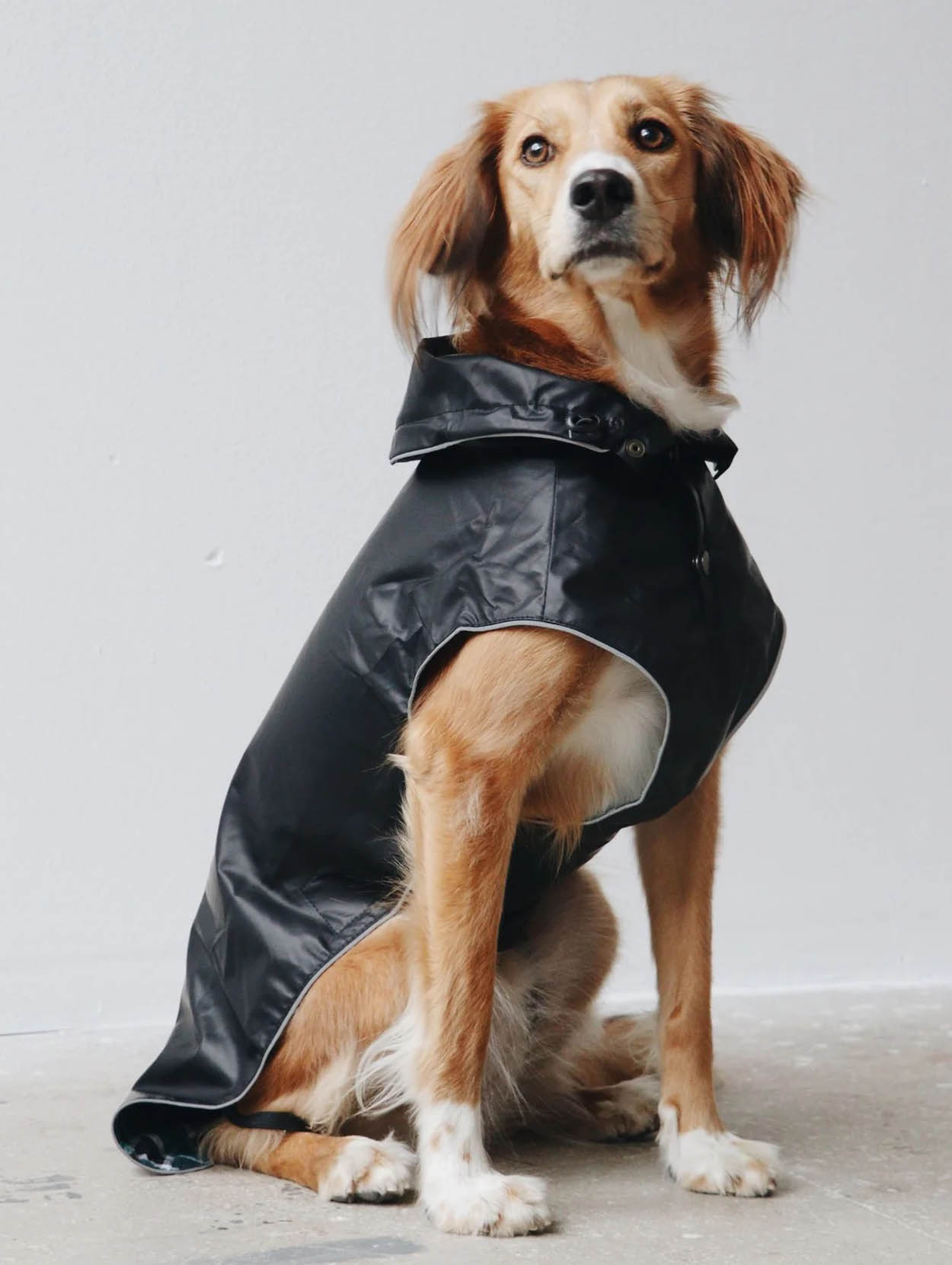 Mons Bons Dog Raincoat