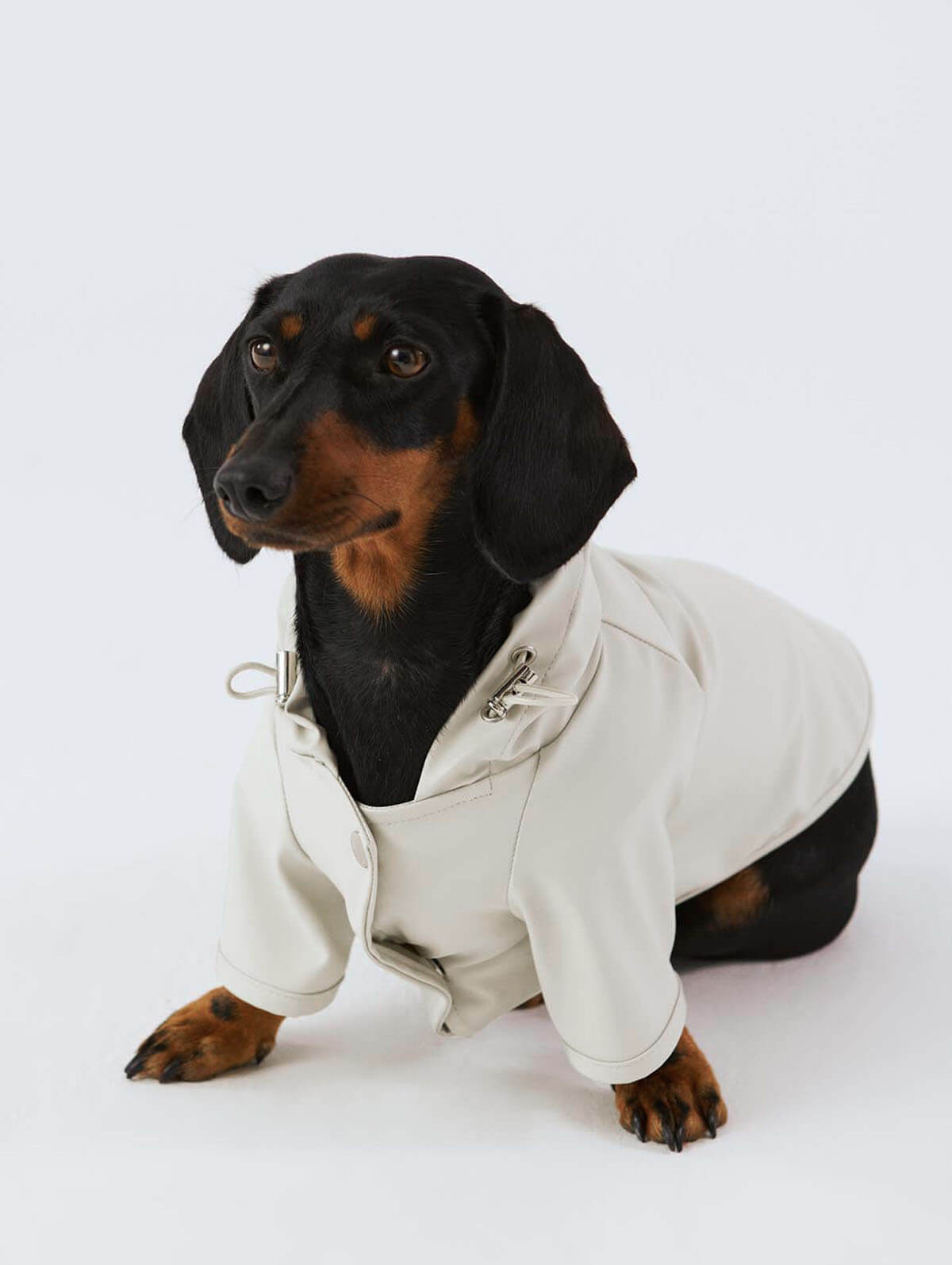 Bruno Society Dog Raincoat