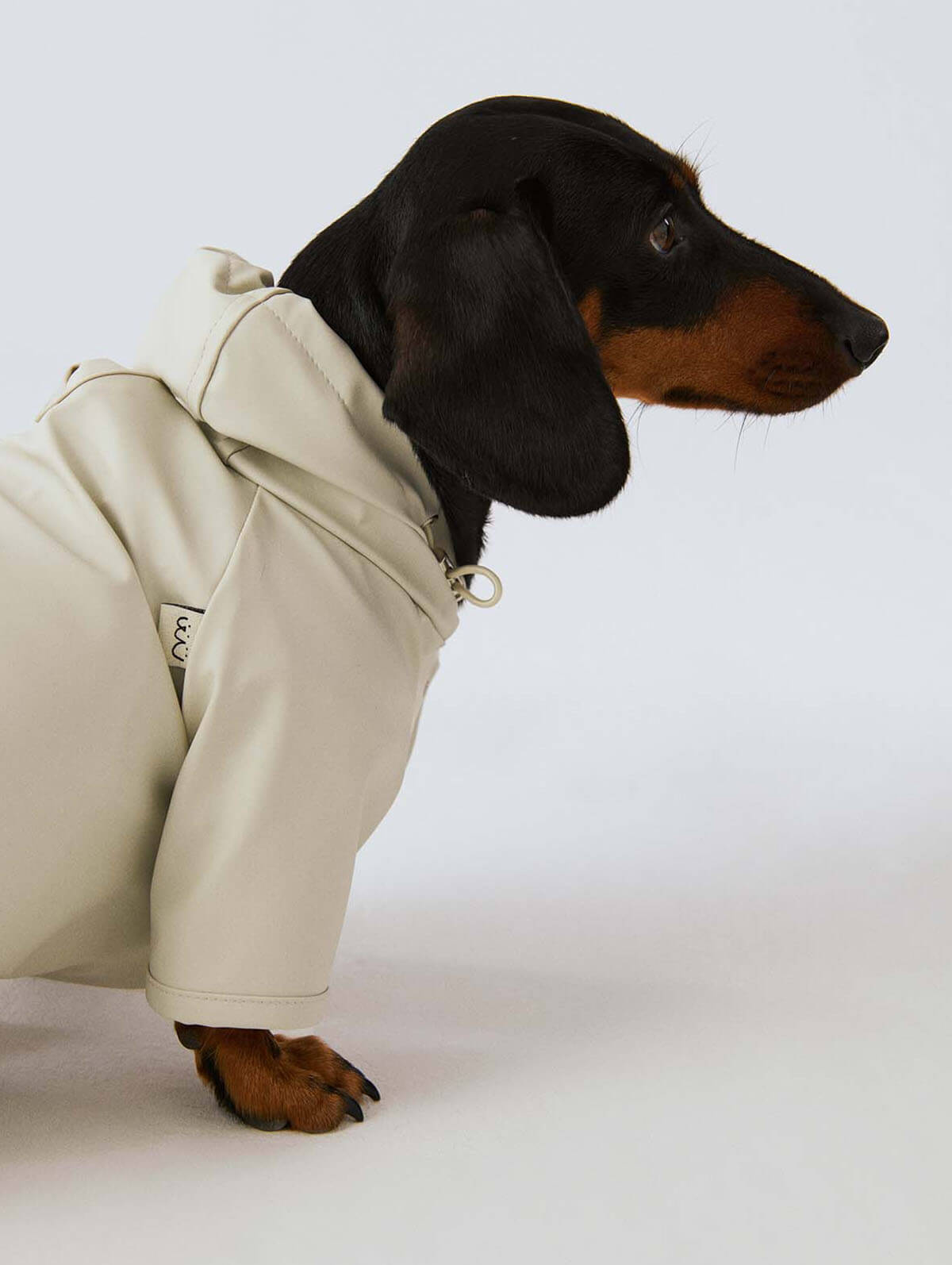 Bruno Society Dog Raincoat