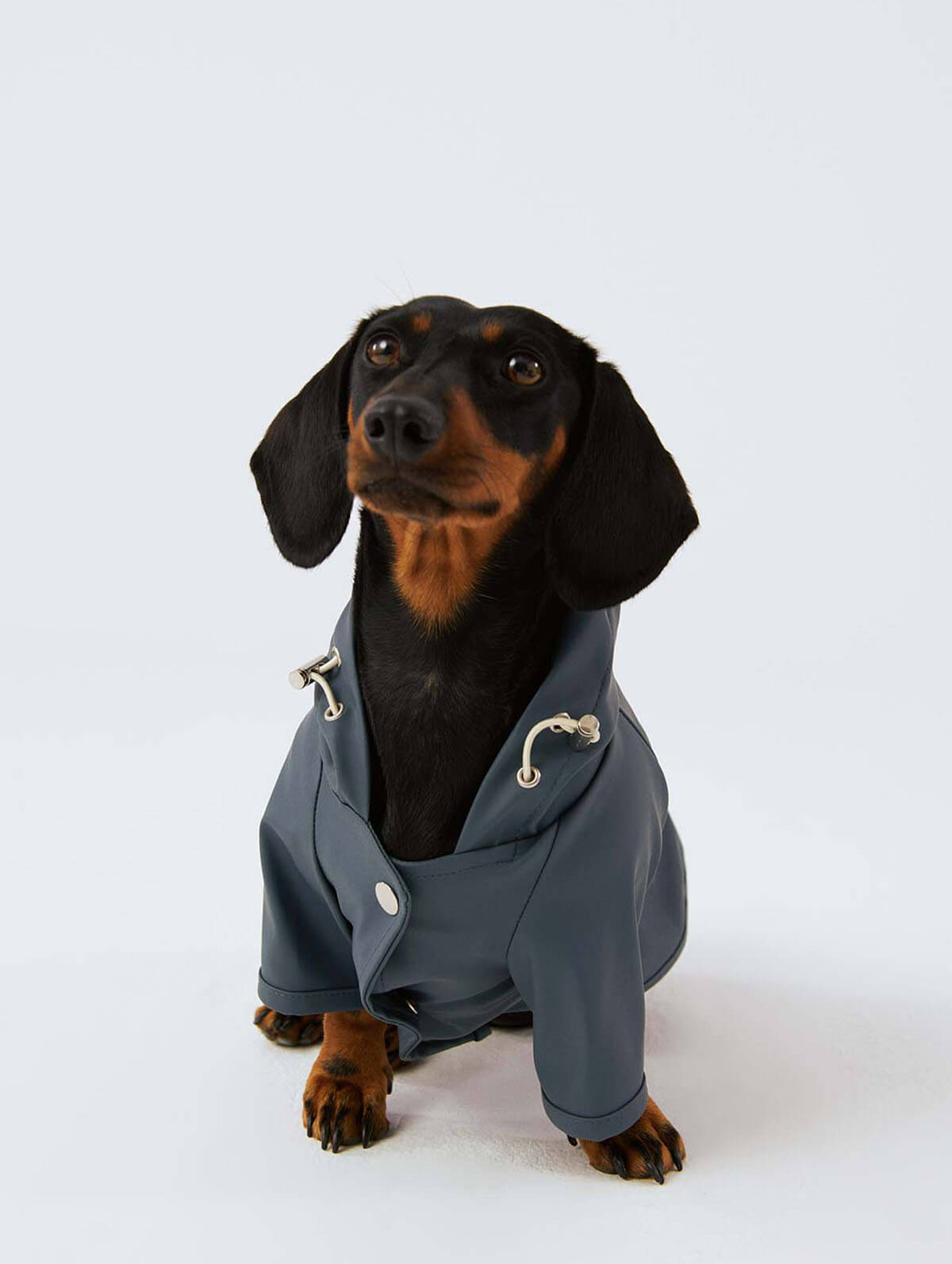 Bruno Society Dog Raincoat