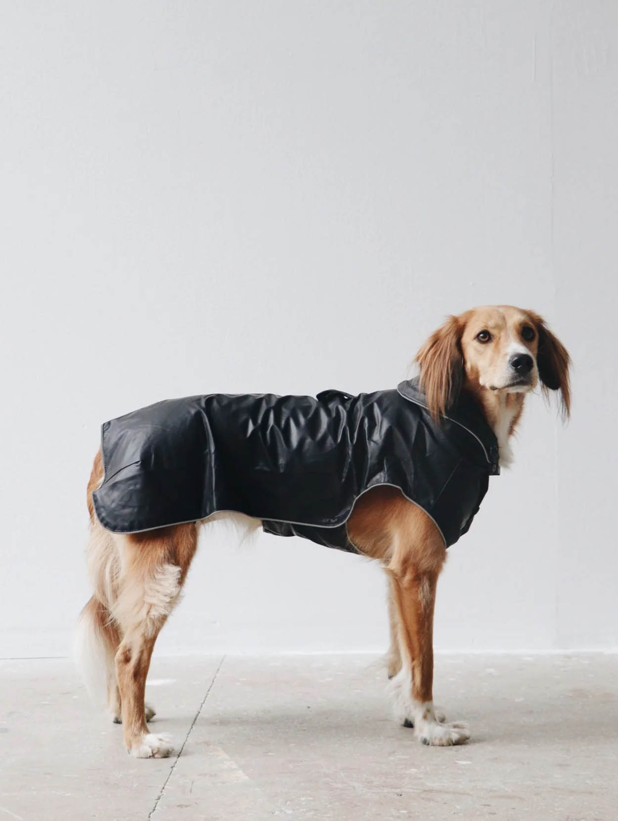 Mons Bons Dog Raincoat
