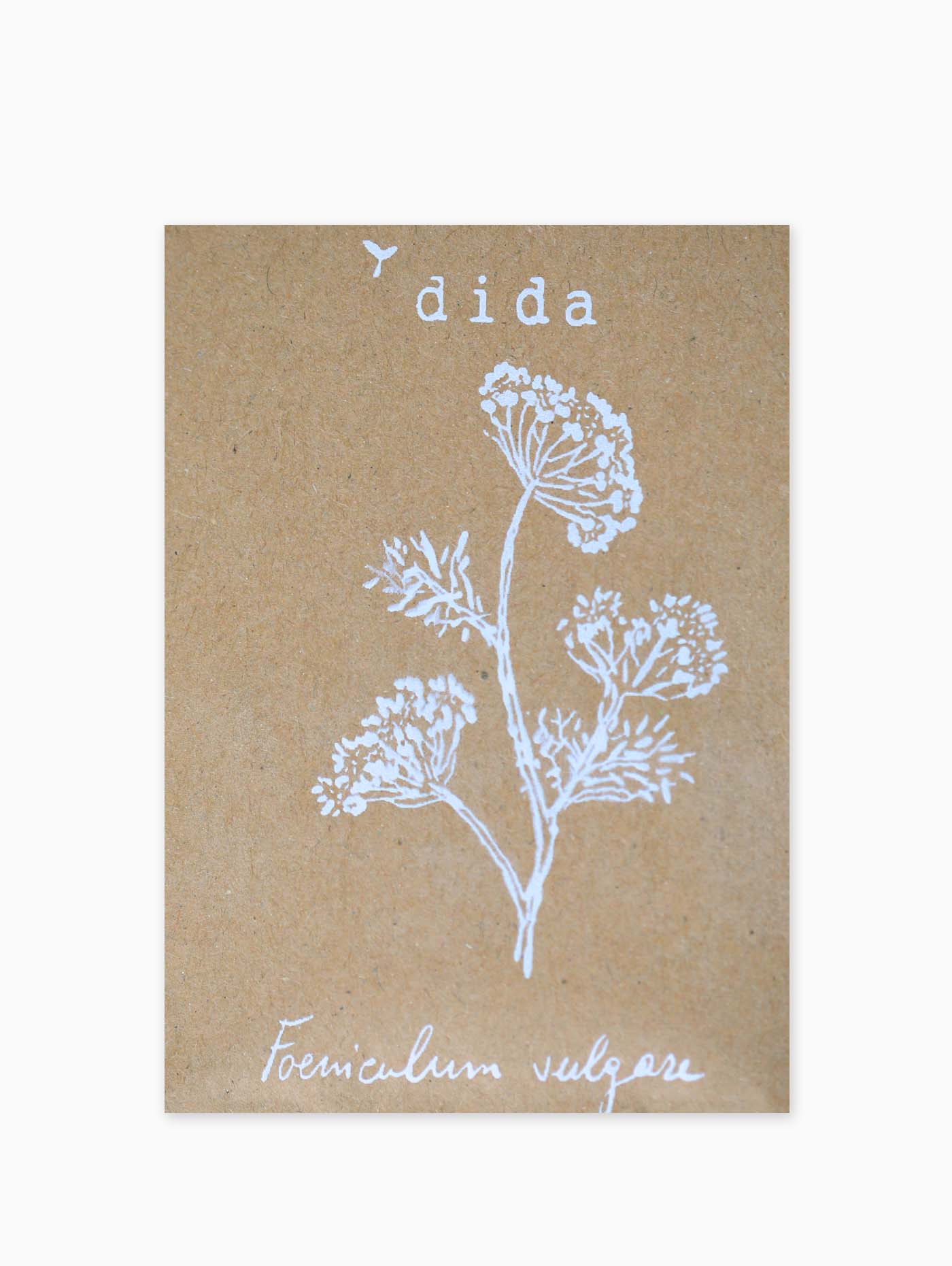 Dida Seeds