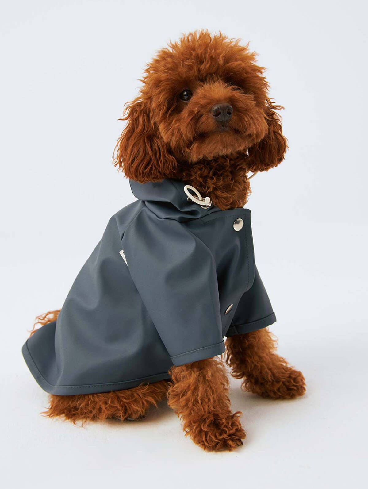 Bruno Society Dog Raincoat