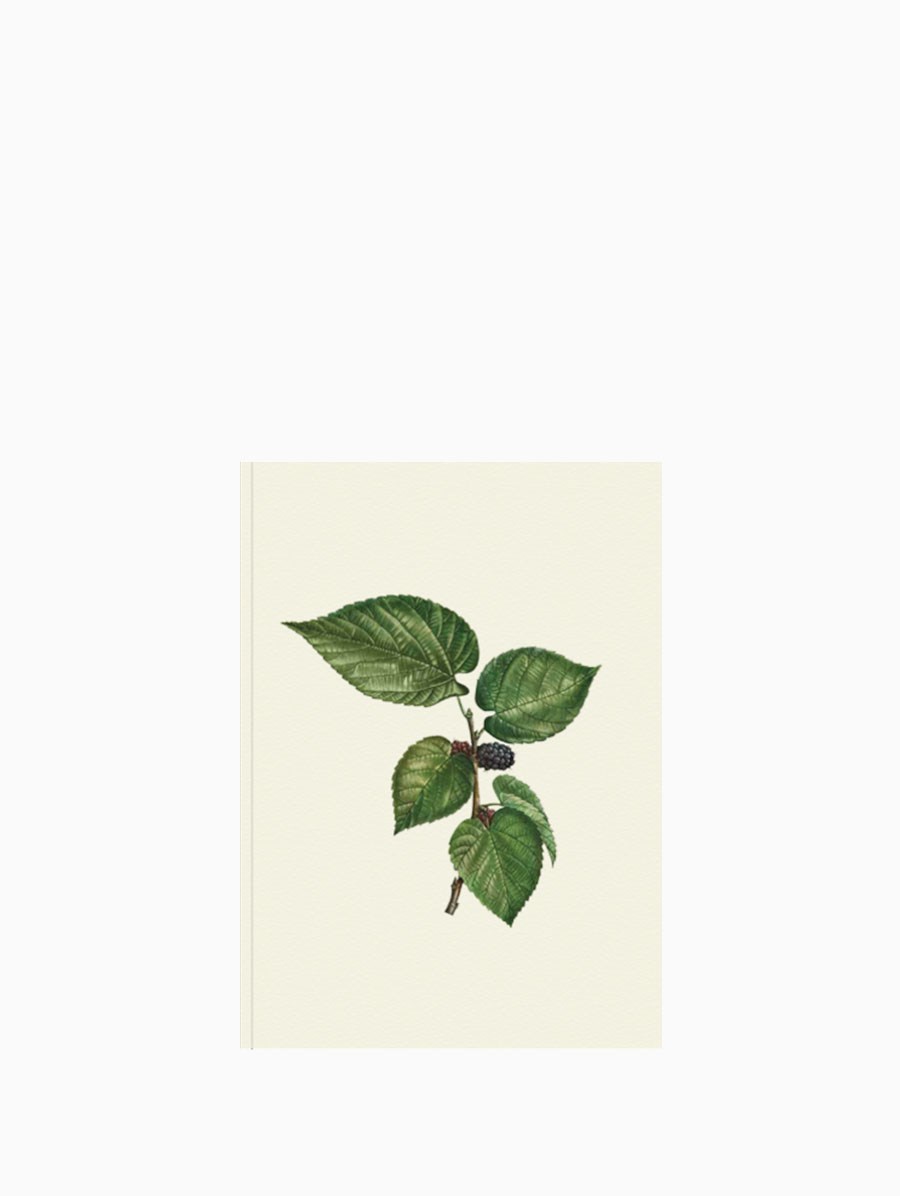 Paper Street Co.